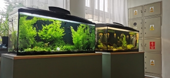 IMG_20260414_093200_resized_20260414_122520645