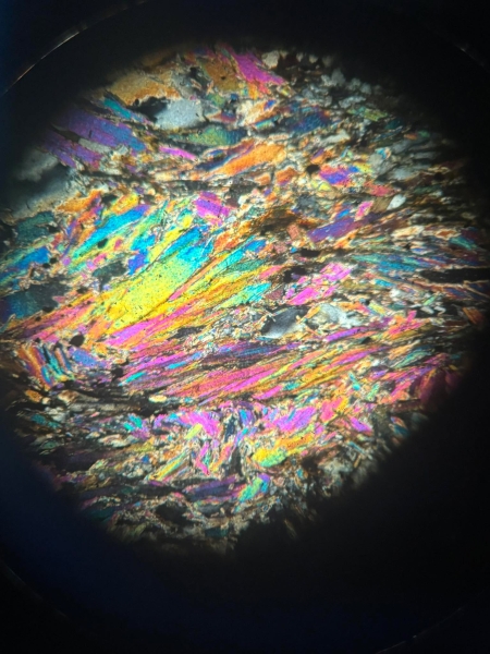 Klasa 3C na zajęciach w Laboratoriach SGGW